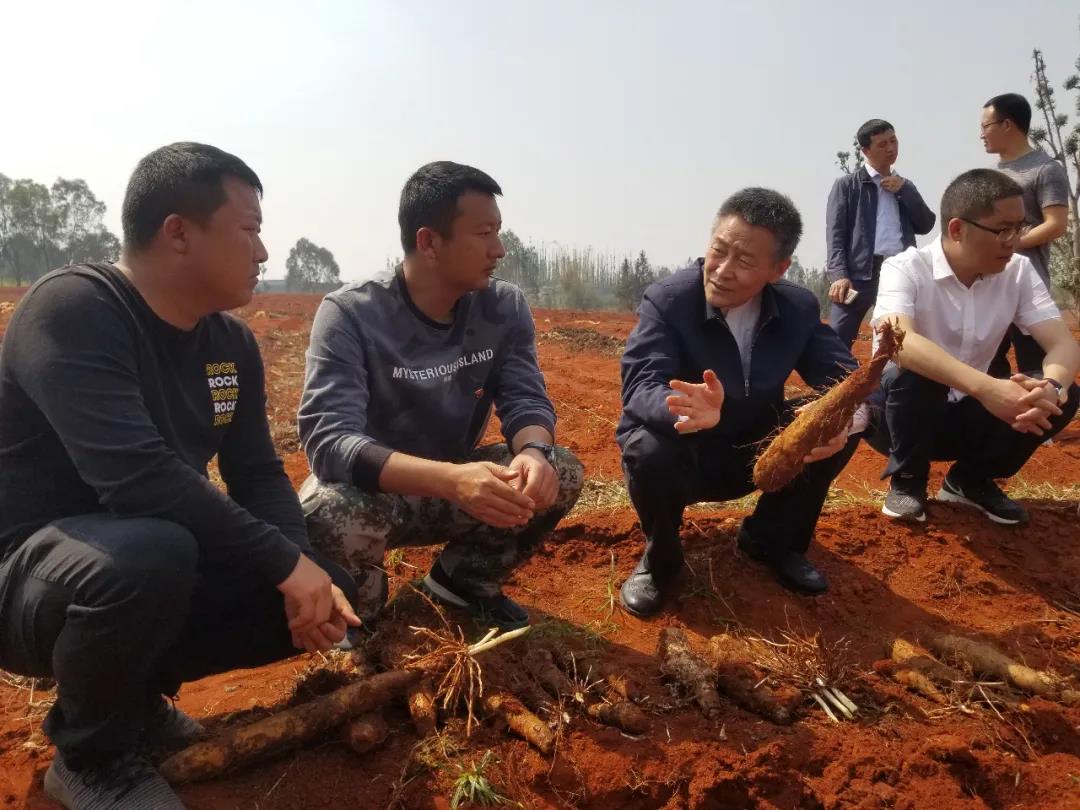 凯时KB88·(中国集团)官方网站