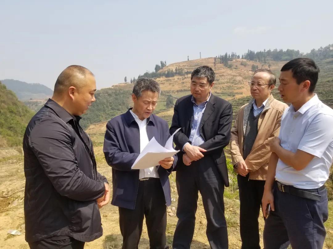 凯时KB88·(中国集团)官方网站