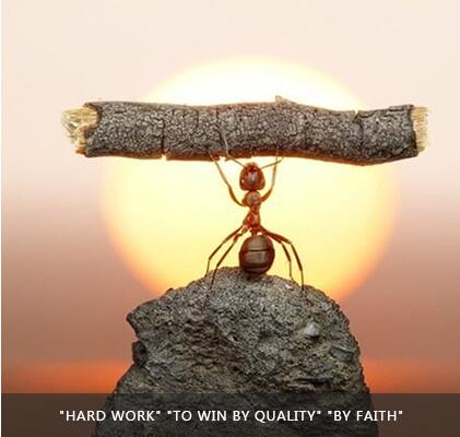 中国·永利(88858cc·VIP认证)官网 - GREEN LIFE