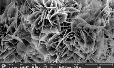 中国·永利(88858cc·VIP认证)官网 - GREEN LIFE